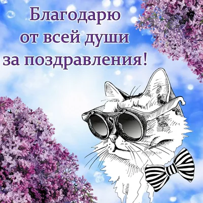 Всем огромное человеческое СПАСИБО 🎊💐🥳🥰😍🤩ЗА ПОЗДРАВЛЕНИЯ И МИЛЫЕ  ПОЖЕЛАНИЯ | Instagram