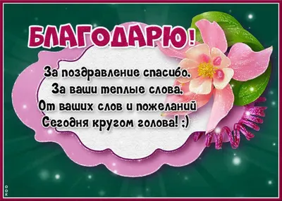 Всероссийский праздник благодарности родителям \"Спасибо за жизнь | МБДОУ МО  Г.КРАСНОДАР \"ДЕТСКИЙ САД №\"