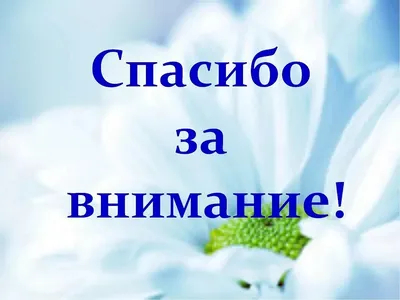 Кружка \"Внимание спасибо за внимание , с прикольной надписью картинкой\",  330 мл - купить по доступным ценам в интернет-магазине OZON (1046122075)