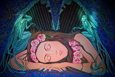 Спящая красавица | Пикабу