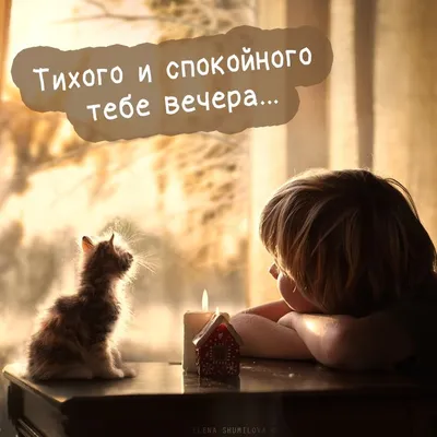 Спокойного вечера картинки фотографии