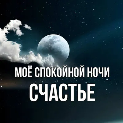 Дима Билан будет вести \"Спокойной ночи!\" - 16 апреля 2013 - Фонтанка.Ру