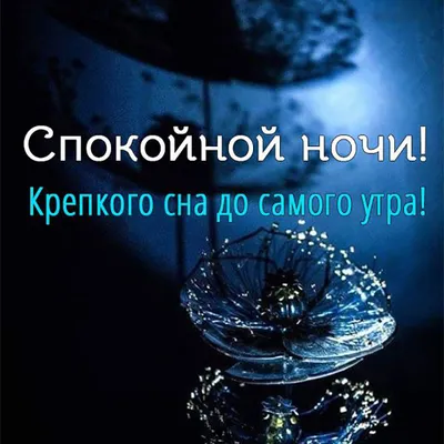 Спокойной ночи! (Нина Пикулева) - купить книгу с доставкой в  интернет-магазине «Читай-город». ISBN: 978-5-17-110049-0