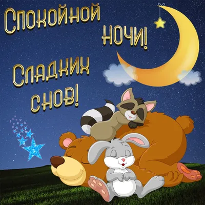 МемНаташа-MemNatasha - #memnatasha #кот #кошка #котики #зима #ночь # спокойнойночи #юмор #лайк | Facebook
