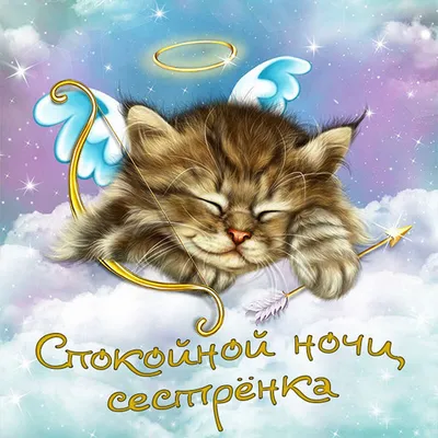 Открытка спокойной ночи с котиками — Slide-Life.ru