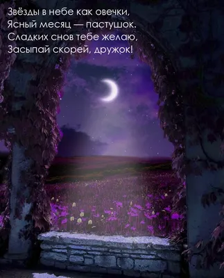 Храни вас Бог! Спокойной ночи! (Анна Бовель) / Стихи.ру