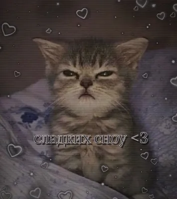 Спокойной ночи котик зевает» — создано в Шедевруме