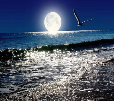 Красивый морской ночной пейзаж. …» — создано в Шедевруме