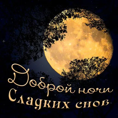 Спокойной ночи Любимый | Открытка | Дзен