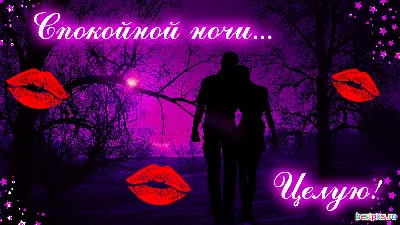 Открытки \"Спокойной ночи!\" для мужчин (205 шт.)