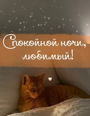 Картинки Спокойной ночи Муж - красивые открытки бесплатно
