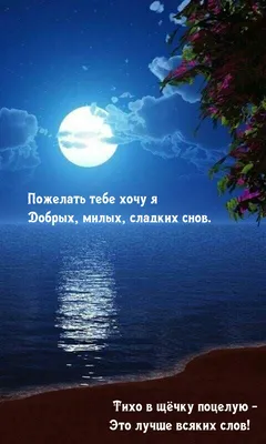 Хотите оригинально пожелать спокойной ночи любимому дорогому человеку?  Отправьте ему красивую мерцающую открытку с пожеланиями слад… | Спокойной  ночи, Ночь, Человек