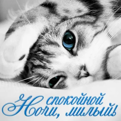 150 открыток с пожеланием Спокойной ночи для любимого