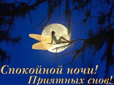 Спокойной ночи, любимый город ❤️ | Instagram
