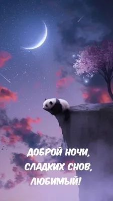 Луна Panda вычерченной иллюстрации руки счастливая играет роль текст на  английском языке. Спокойной ночи.. Небо медведя красивой ф Иллюстрация  вектора - иллюстрации насчитывающей характер, украшение: 195147892