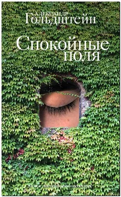 спокойные утренние пейзажи на море Стоковое Фото - изображение  насчитывающей затишье, европа: 228213422