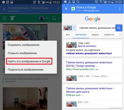 Поиск по картинке с телефона в Яндекс как сделать | — Молодежный  информационный портал