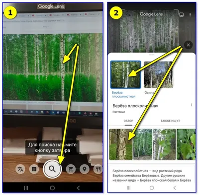 Поиск по картинке с телефона (Яндекс, Андроид, Гугл, Google) » Компьютерная  помощь