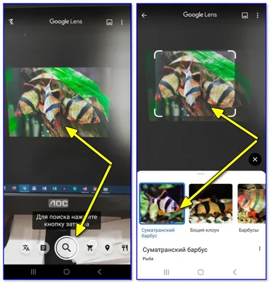 Поиск по картинке с телефона Андроид: ищем похожие картинки и название  того, что изображено