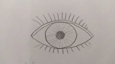 Как нарисовать милый единорога Легкие шаги для деятельности при детей Тварь  Kawaii с глазами и Lushes Иллюстрация вектора - иллюстрации насчитывающей  грива, воспитательно: 136882761