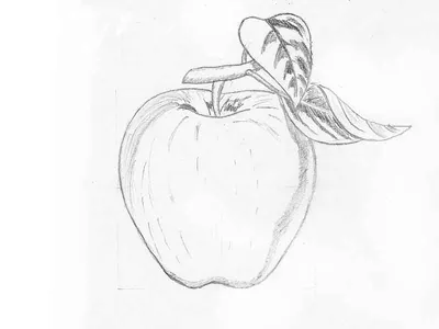 Рисунки для срисовки для начинающих: 100 идей как рисовать карандашом для  начинающих ✍ - 1igolka.com