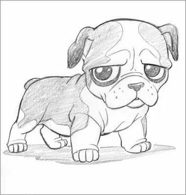Рисунки для срисовки карандашом 🥝 очень простые и крутые, чтобы легко  срисовывать | Cute animal drawings, Cartoon drawings of animals, Cute dog  drawing