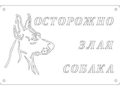 Срущая собака: истории из жизни, советы, новости, юмор и картинки —  Горячее, страница 3 | Пикабу