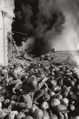 Интересные факты о Сталинградской битве