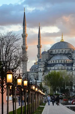 Стамбул, Турция: памятка для туристов о том, чего не стоит делать в городе  | GQ Россия