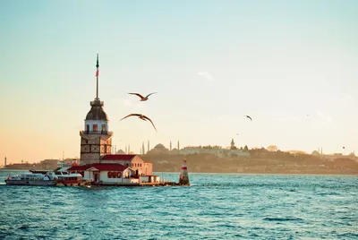Фото Стамбул Турция Сверху Дома Города