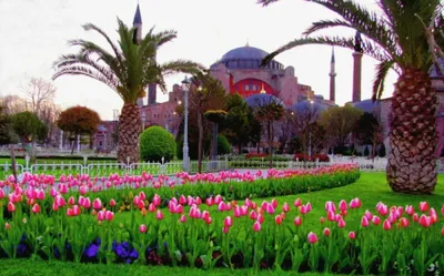 Роскошь султанов»: сити-тур в Стамбул на 8 Марта! - Республиканский союз  туристических организаций