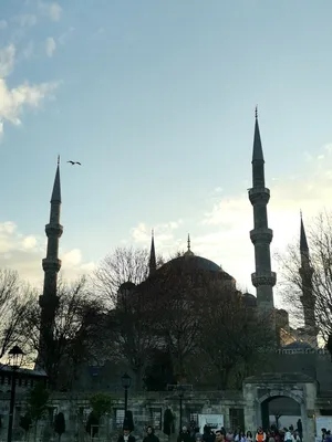 Стамбул за неделю до... | ZosyaMosya | Дзен