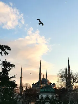 Стамбул 💥: все о городе, как добраться и когда лучше ехать в столицу  Турции — Tripster.ru