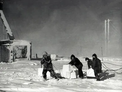 Вторая Комплексная антарктическая экспедиция (1956-1957) — 200-летие  открытия Антарктиды — Пресс-центр — Росгидромет