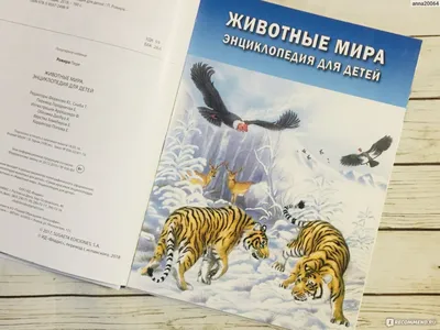 Интерактивные книги и говорящий карандаш. Букмарк Издательство - «Любой  ребёнок будет в восторге! Набор который заинтересует не только маленьких,  но и взрослых!😄 Отличная обучающая программа для детей! » | отзывы