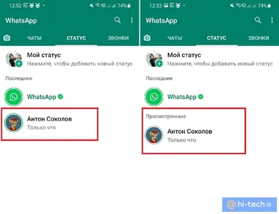 WhatsApp добавляет новую функцию: реакции на статусы с помощью цифровых  аватаров | Bizmedia.kz | Дзен