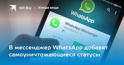 В WhatsApp появились пять новых функций для статуса | ВСЁ ПРО ВАТСАП | Дзен