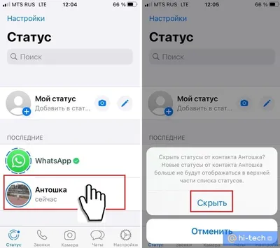 Пользователи WhatsApp получат интересную функцию для реакции на статусы -  Техно