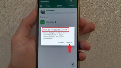 В WhatsApp можно будет реагировать на статусы » Новости Усть-Каменогорска и  ВКО свежие на сегодня | ALTAYNEWS