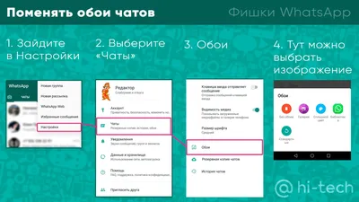 Казахстанца оштрафовали за религиозные статусы в WhatsApp - MediaWorld.kz