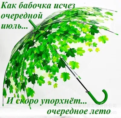 Последний месяц лета- это август,пора собрать на дачах урожай,И под грибы  начать готовить тару... | Herbs, Birthday greeting message, Cool pictures