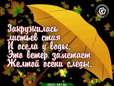 Прощай осень. Закружилась листьев стая.. | Осень, Листья, Осенние картинки