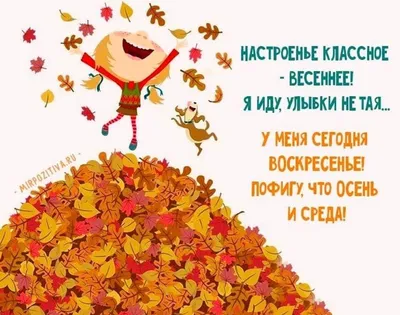 Спокойствие! Это всего лишь осень) Позитивные открытки с юмором!  @otkritkipozdrav #позитив #картинки #статусы.. | ВКонтакте