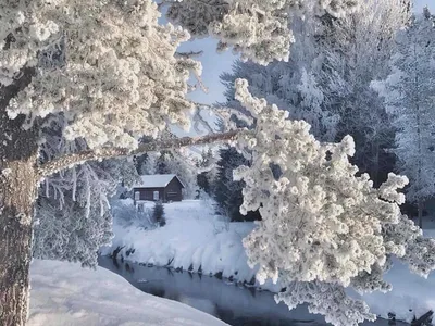 Картинки зима снег красивые (69 фото) » Картинки и статусы про окружающий  мир вокруг