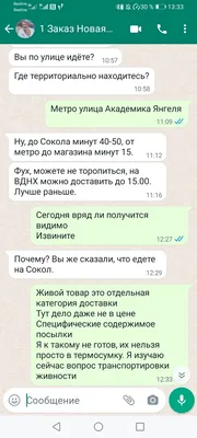 Прикольные статусы на Ватсап - 📝 Афоризмо.ru