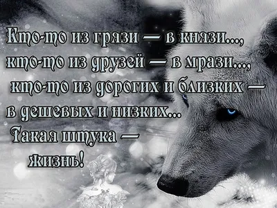 Статусы стервы со смыслом - 📝 Афоризмо.ru