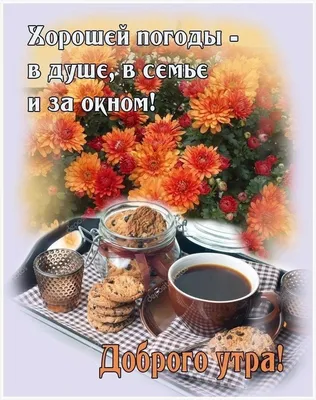 blueberry, стильные картинки кофе цветы, доброе утро цветы стильно, доброе  утро картинки стильные модные, доброе утро картинки инстаграм, кофе завтрак  цветы, Свадебный декор Москва