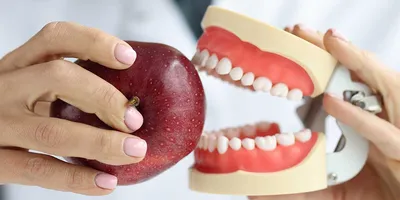 Стоматолог. Как отличить хорошего от плохого? | Стоматология Багита