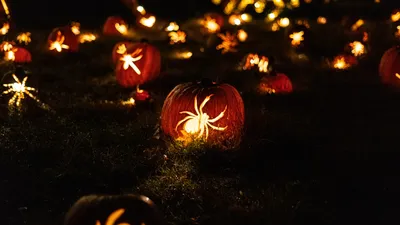 Хэллоуин фон со страшными тыквами ночная луна Ai искусство, Хэллоуин фон,  страшные тыквы искусственный интеллект, Хэллоуин фон картинки и Фото для  бесплатной загрузки