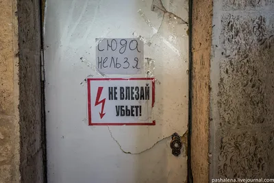 Надписи Бишкека: страшные ковры, сюда нельзя и носки с поролоном :  pashalena — LiveJournal